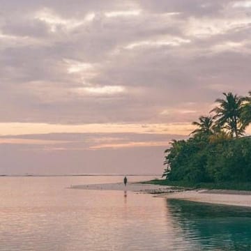 Ảnh đại diện thành viên Anika